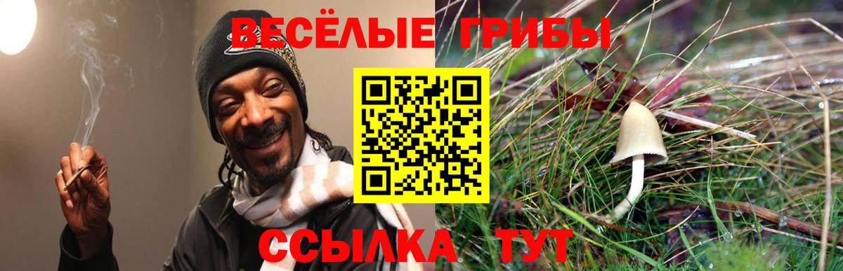 Асбест  Псилоцибиновые грибы Psilocybine cubensis  как найти наркотики  Вход с VPN 